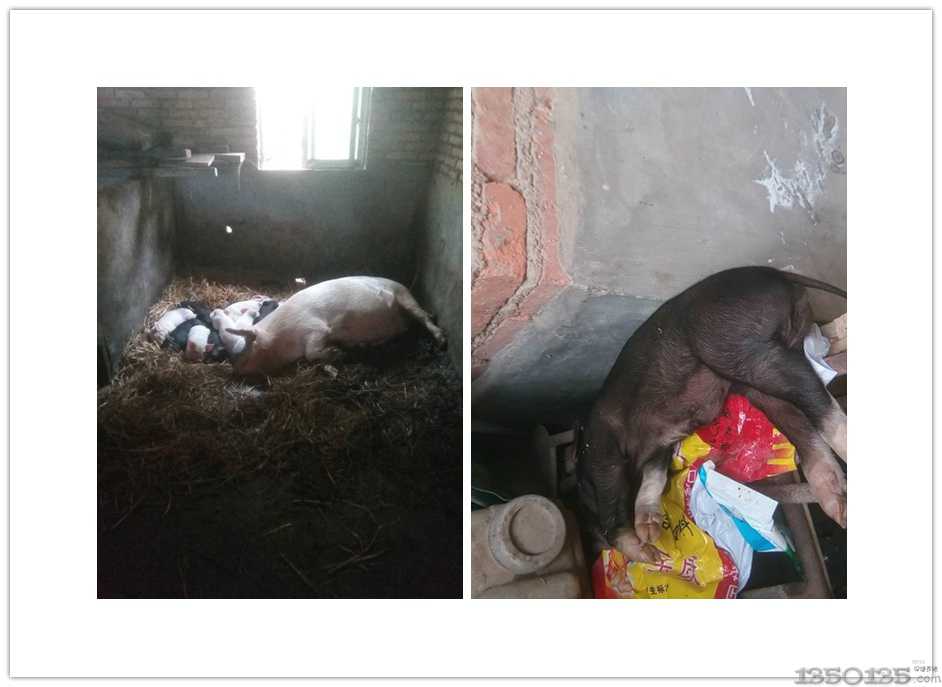 ��ʲô���i�����úõģ��o���׵�ͻȻ�����ˣ�