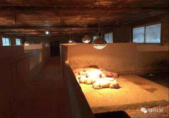 �G�~�ië��--�i�ᱣ��