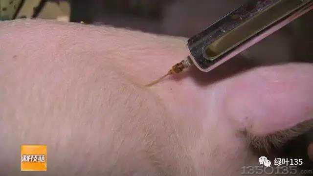 �ië��-�i��������