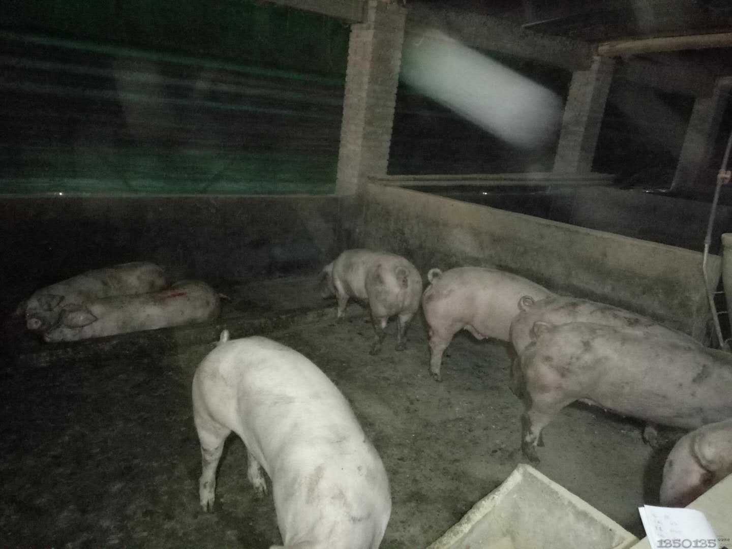 �F(xi��n)���B(y��ng)�i���v�����ʠI�B(y��ng)������