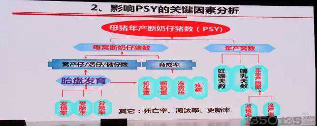 ����������|��(sh��)��(j��)�����;���(zh��n)��B(y��ng)�����i���a(ch��n)ˮƽ���о��͌�(sh��)�`