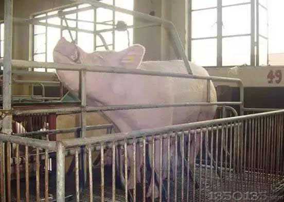 �iǰǻ�o�}��ѪҎ����ע�����