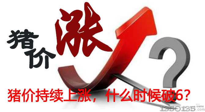 �i�r���m�ϝq������6Ԫ�᣿