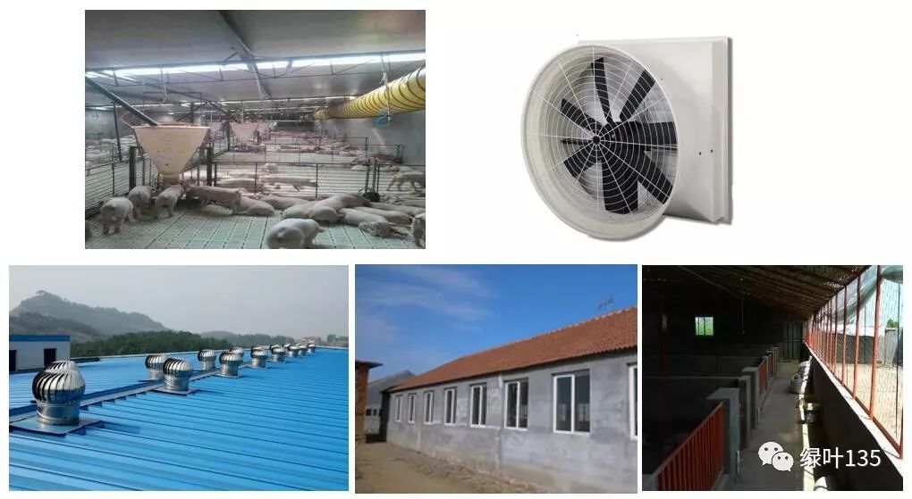 ���L����