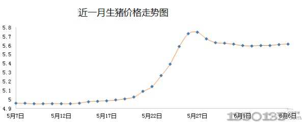 近一月豬價走勢圖
