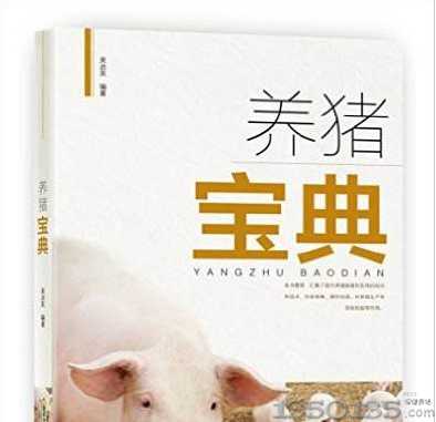 �B�i����