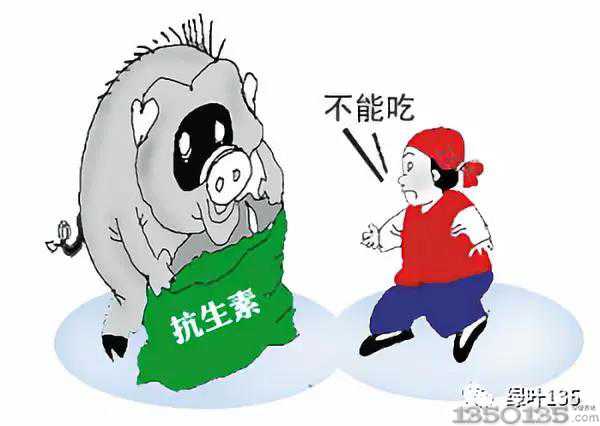 ���i�����P(gu��n)��Ӱ�