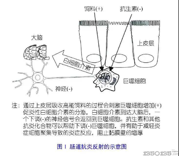 ��ʲô�����������������ÿ����صĽ�Q�k��