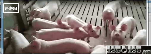 2017���B�i��һ��̝8�f�����F�����B���i��