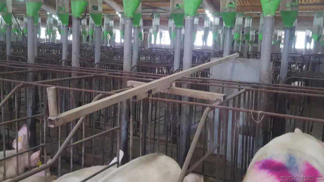 �i��(ch��ng)�O(sh��)Ӌ(j��)�c����������Ľ���^(q��)���ϣ�