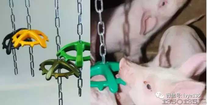 �A(y��)���iȺҧ�ܣ���(ji��n)������܎�æ���������b�f(shu��)����