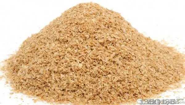 ��Ƥ��ĸ�i���a��������!