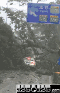 ��ɽ���^(gu��)���@Щ�i��(ch��ng)�������Ҫ��������