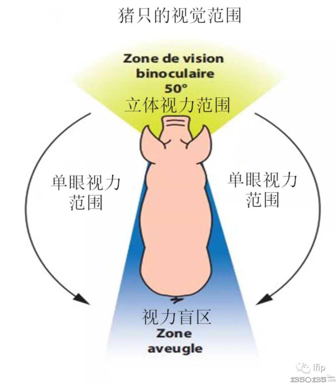 �DȺ�����r�����]���iֻҕ�Ǻ̓�ɫ���ҕ�����}