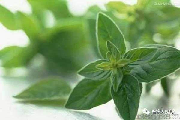 ��ʲô�����������ÿ����صĽ�Q�k����