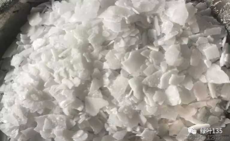 ���������x���xȥ���@�׷Nһֱ�]���G����