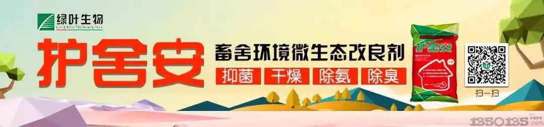 �i���������c������ʽ���x���ˆ᣿