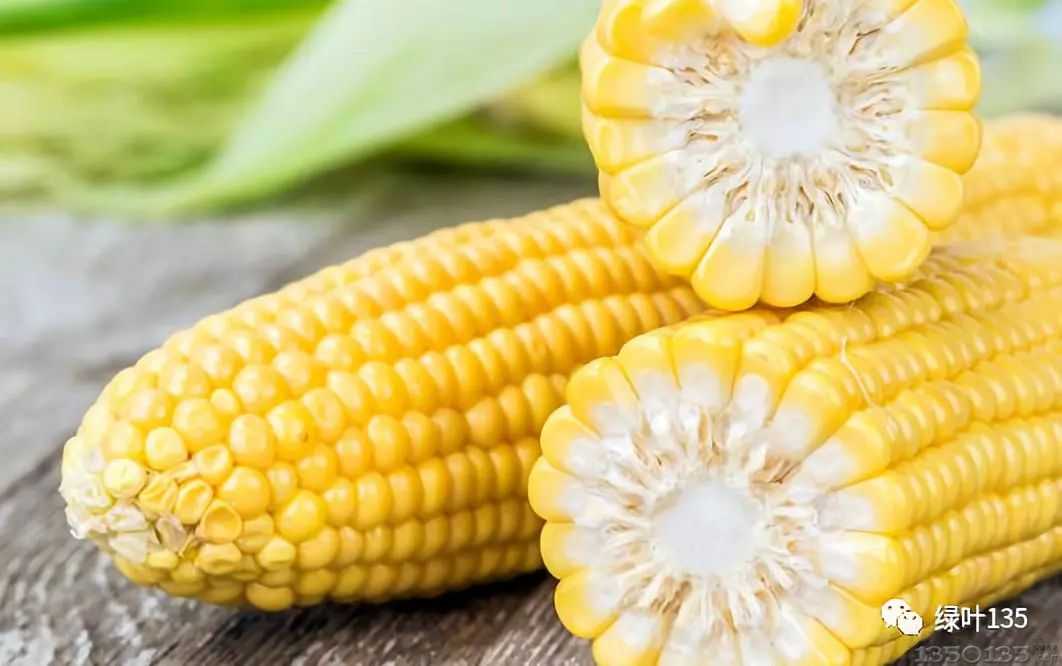 �������� ץס���һ������