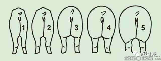 ����������ˎ������߀���뵽ʲô��