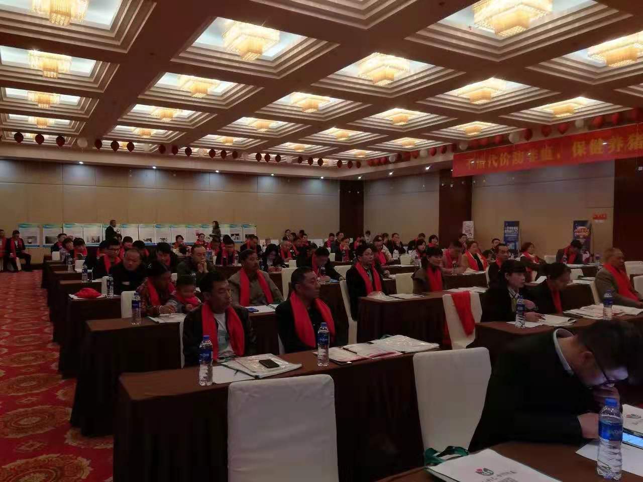 ����ף�R�}�㡤���վ�Ӣ�ΌW(xu��)��(hu��)���_���(d��ng)�T��(hu��)�A�M��Ļ