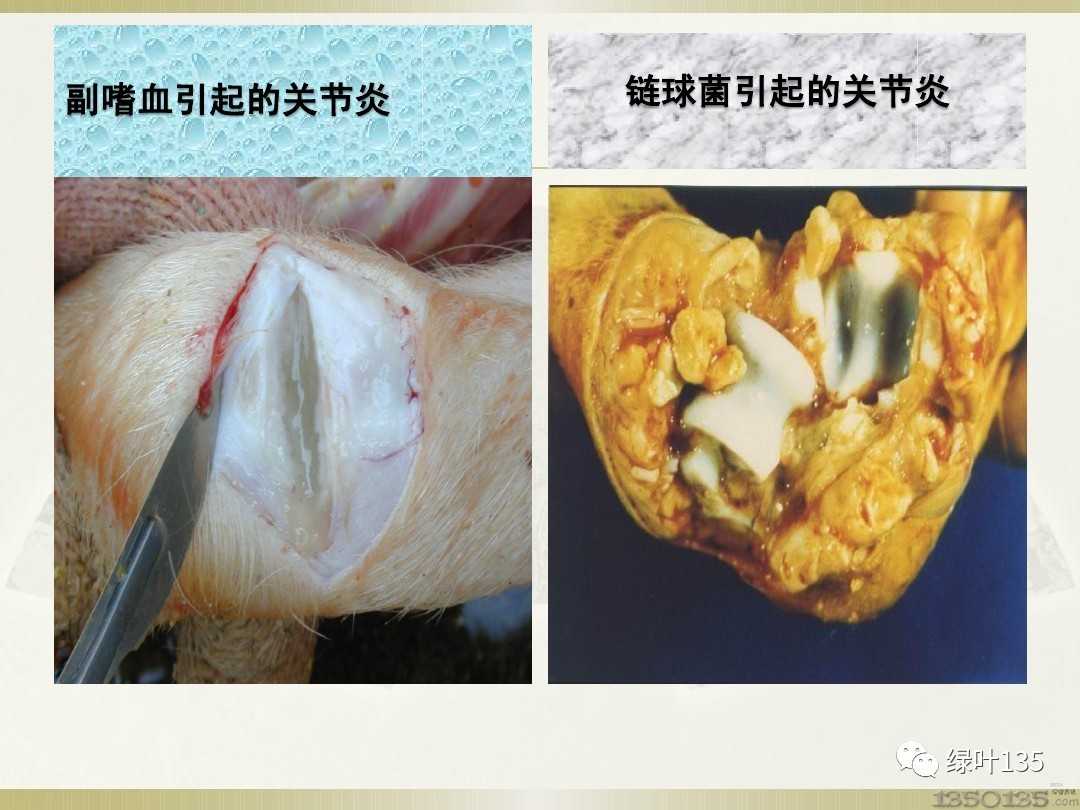 �����g���Ĳ������\�ั�i��������