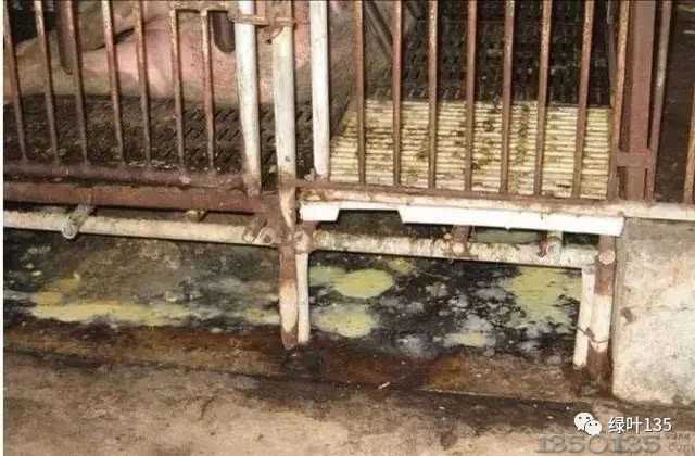 �˽ⲡ���� ���ܸ��ý�Q���i����