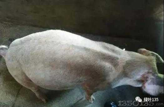 �iÛ�⣬��С�s���ݺ�ҕ��