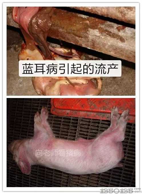 ���ώ����i�� 3�� ���{�����ľC���ί�