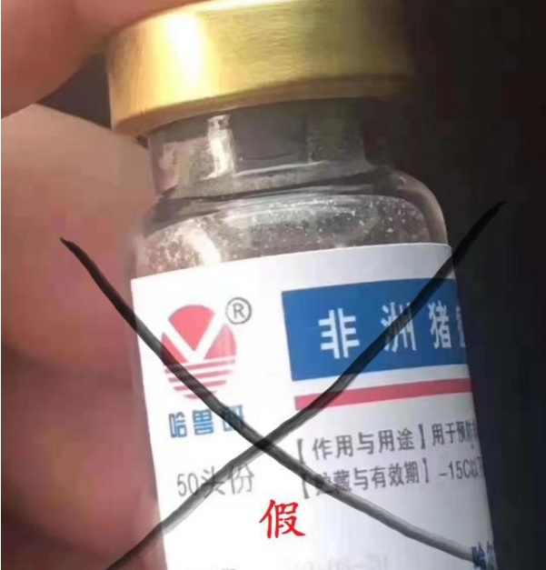 �e�Ϯ�(d��ng)���P(gu��n)�ڷ����i�����硰��ƿ����ԇ����(n��i)�����硱�ȶ��Ǽٵ�