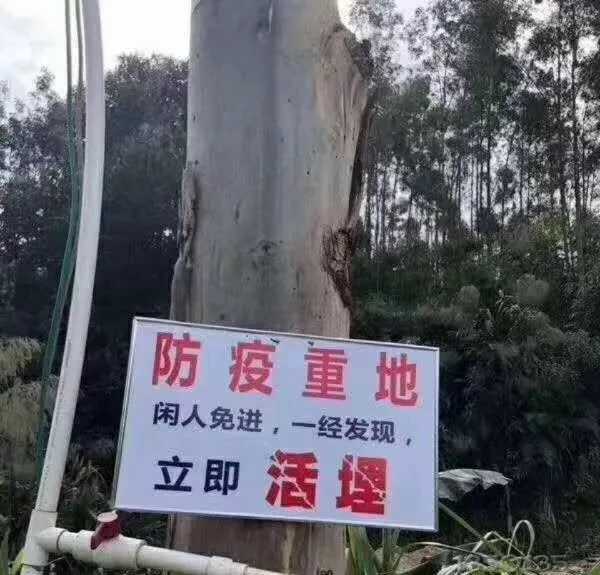 �����o�҂����i����������Щ��׃��