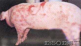 �����i���i���������c����