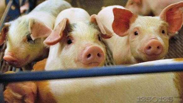 ȫ��(gu��)���i�a(ch��n)�ܻ֏�(f��)���˳� �������֡���r(ji��)څ��(sh��)���@