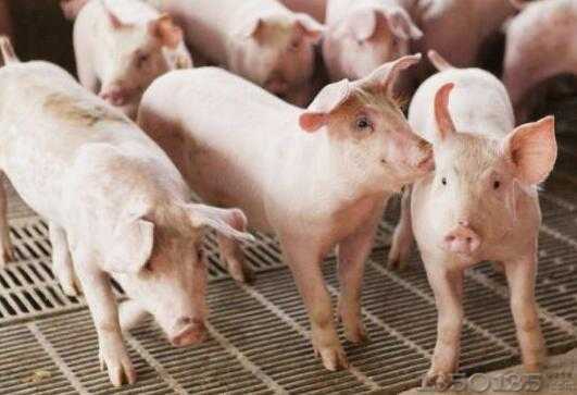 �i��r���M������ͨ�������M����Ҳ���`��!ԭ����3�c��