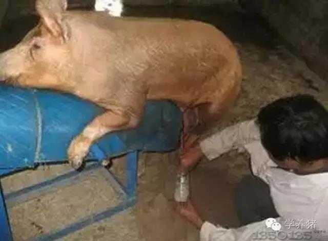 Ҏģ���i����N�^�������׺��Եļ�����