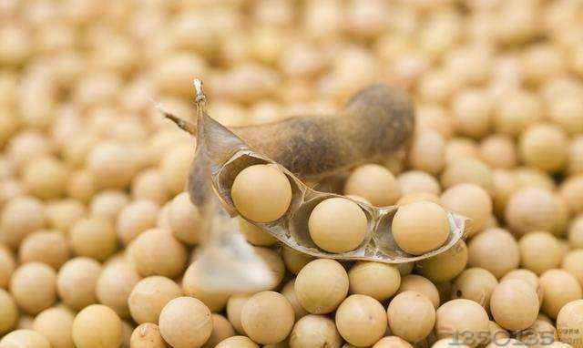 �������u������խ������ �Pע�������x