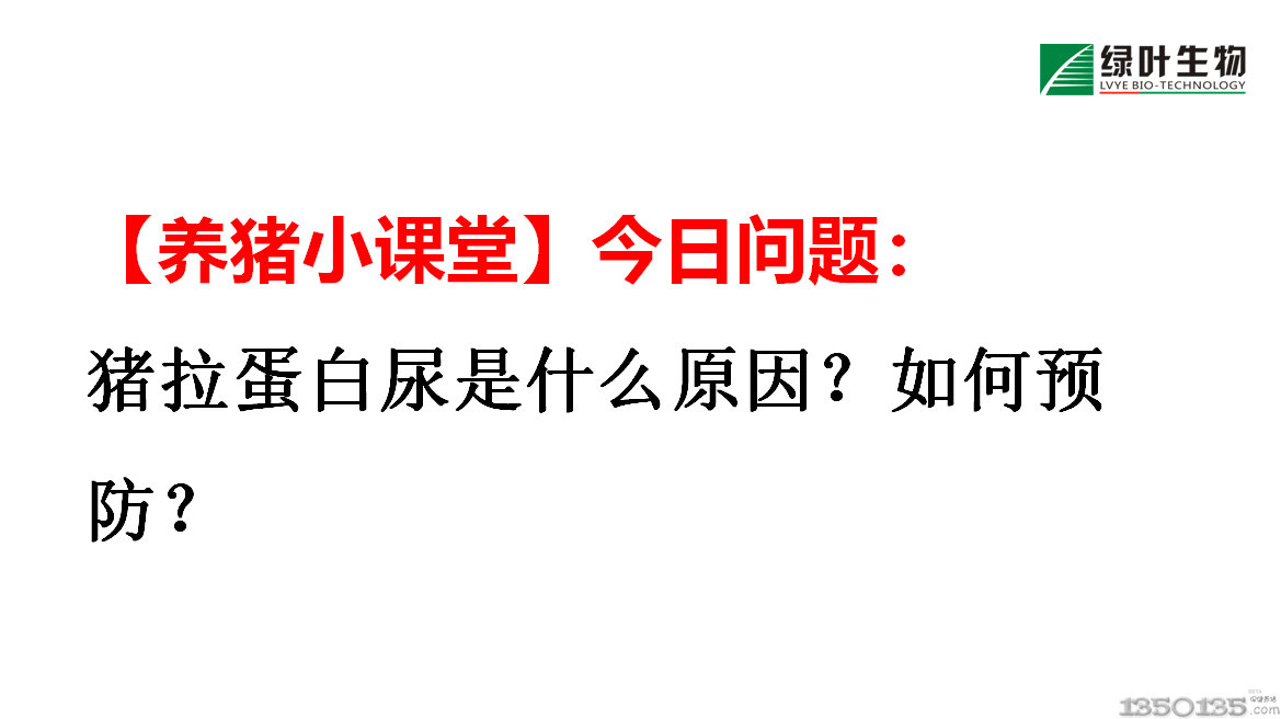 ���B(y��ng)�iС�n�á�һ��һ����Ն��}�� �i����������ʲôԭ������A����