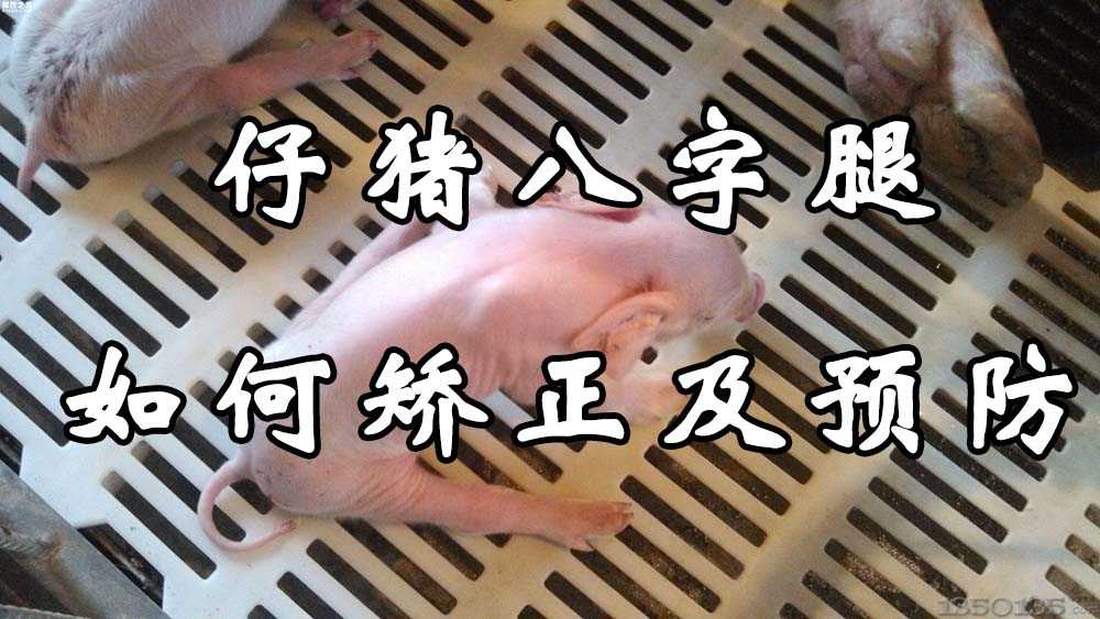 ���B(y��ng)�i΢�n�á�С�i��������ô�C����