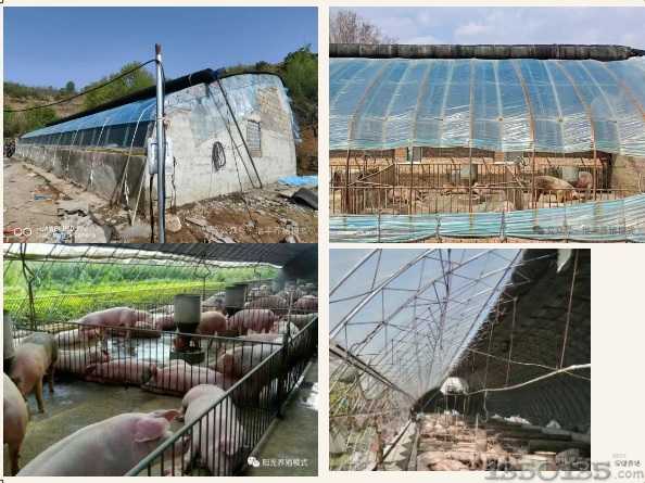 ���ε��i��